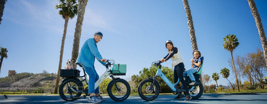 Best Fat Tire Electric Bike: Everything About Urtopia Joy Carbon