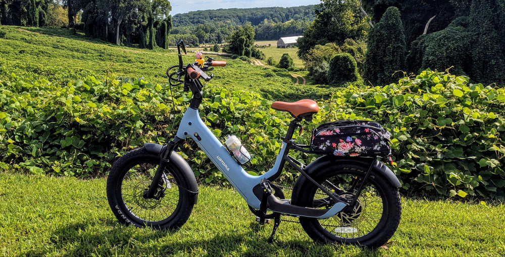 The Complete Guide to Carrying Dog on Bicycle Safely in 2025