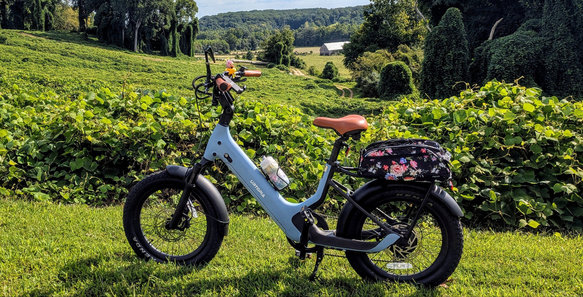 The Complete Guide to Carrying Dog on Bicycle Safely in 2025
