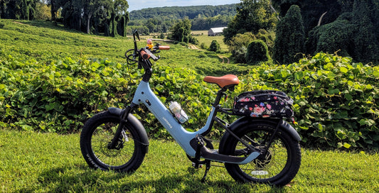 The Complete Guide to Carrying Dog on Bicycle Safely in 2025