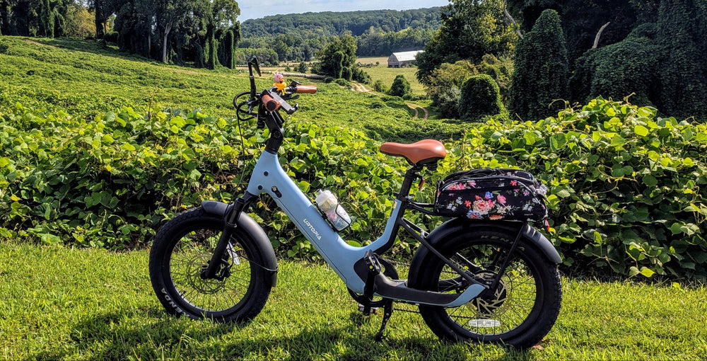 What Do Different Gears on an E-Bike Do? A Beginner’s Shifting Guide