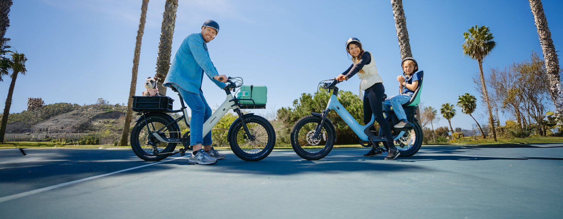 Best Fat Tire Electric Bike in 2026