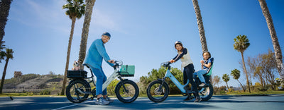 Fat Tire E-bikes: A Buyer's Guide to Choosing the Right One