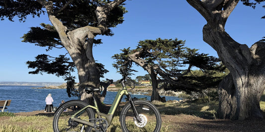 Urtopia Carbon Atom e-bike - What Is an All-Terrain E-Bike? eSUV