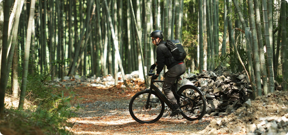 What Is Pedal Assist on an E-Bike and How Does It Work?