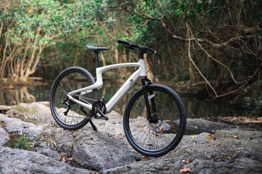 What Is a Class 2 E-Bike? Speed, Throttle, and Rules