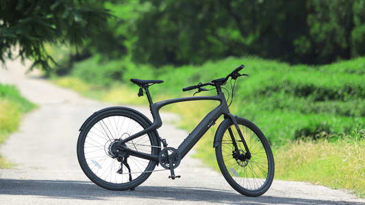 16 Recommended Winter Electric Bike Routes in the U.S.