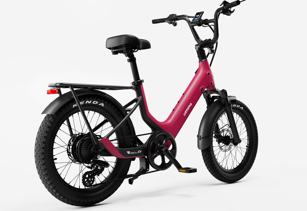 electric bicycl Nemo The bike can be used on pavement as well go off Setohet 26" Electric Bike for