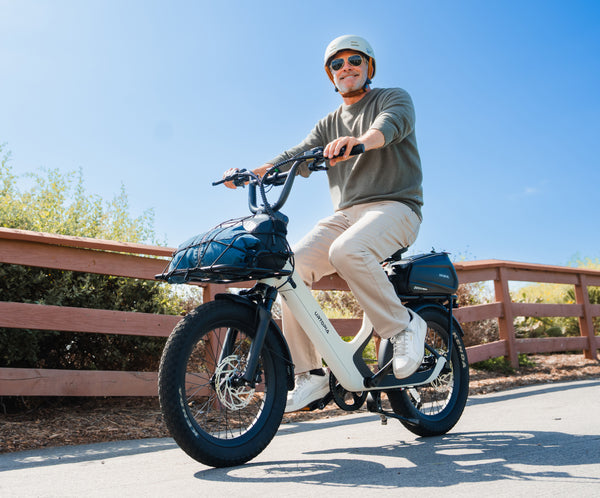 Carbon Joy E-Bike