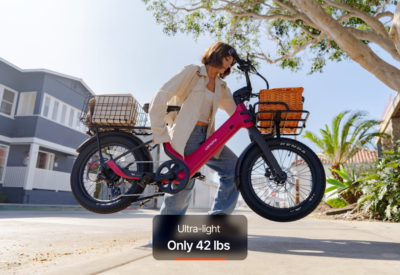 Carbon Joy Ultra E-Bike