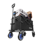 e-Wagon Lite