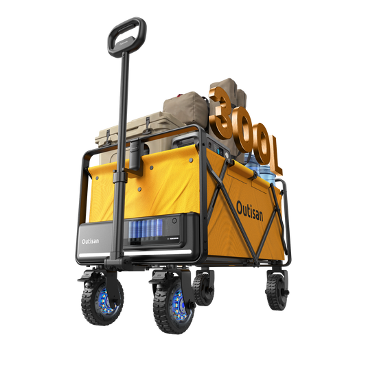 e-Wagon Air