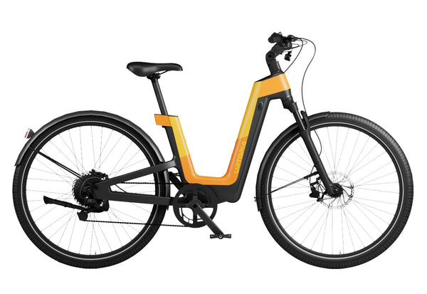 foldable electric bike