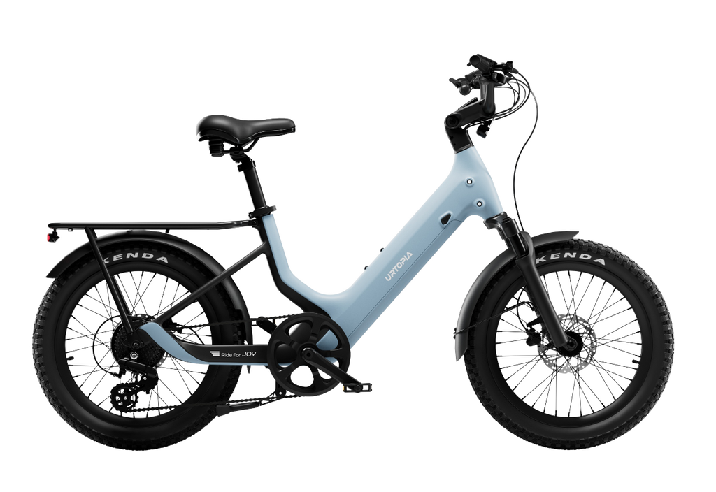 Joy Carbon Fat Tire Electric Bike One Size / Charcoal Grey