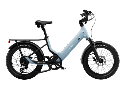 Carbon 1 Pro E-Bike