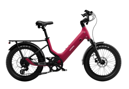 Carbon 1 Pro E-Bike