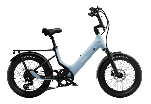 Carbon 1 Pro E-Bike