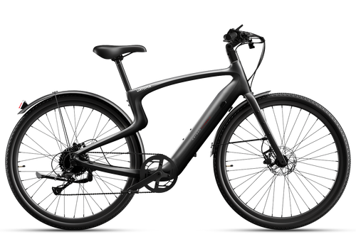 Carbon Classic E-Bike