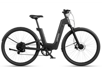 Carbon Fusion GT E-Bike