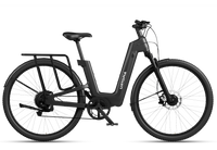 Carbon Fusion GT E-Bike