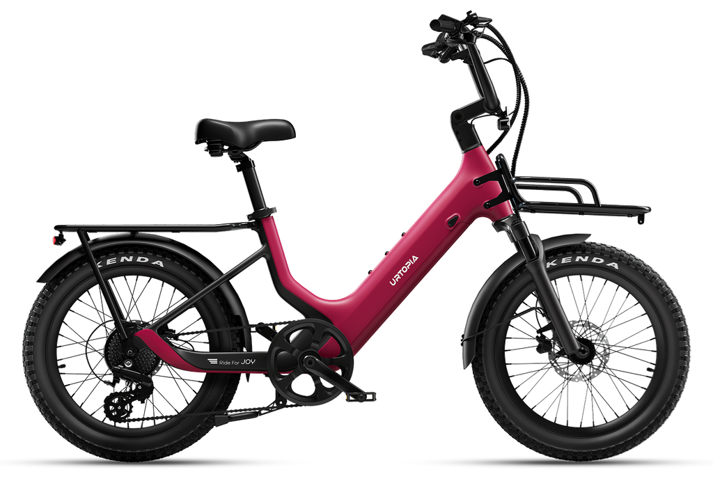 Joy Carbon Fat Tire Electric Bike