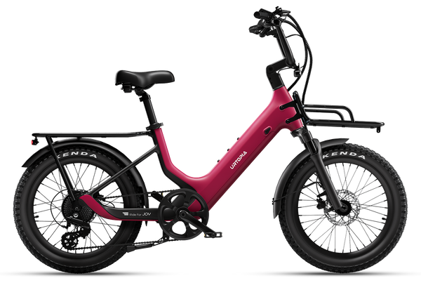 Carbon Joy E-Bike