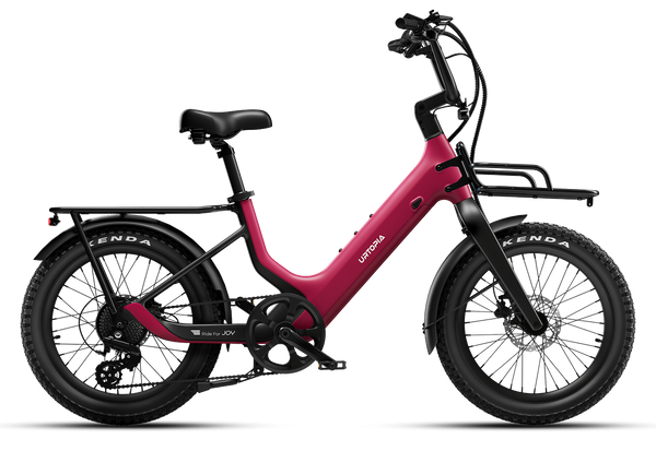 Carbon Joy Ultra E-Bike