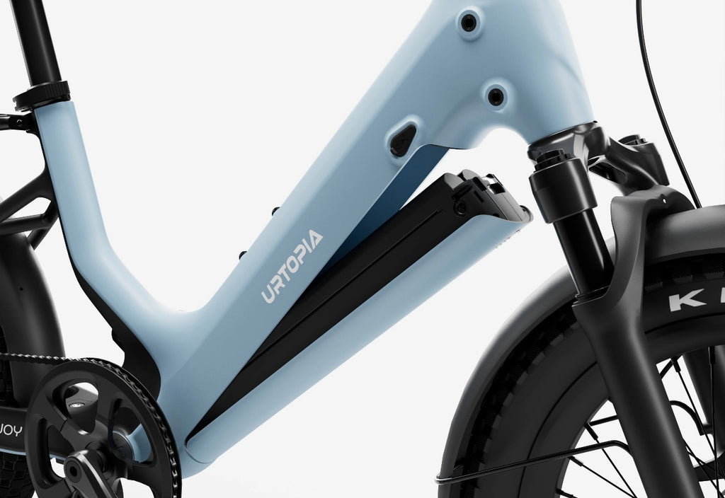 carbon damen e bike Joy Carbon Fat Tire Electric Bike