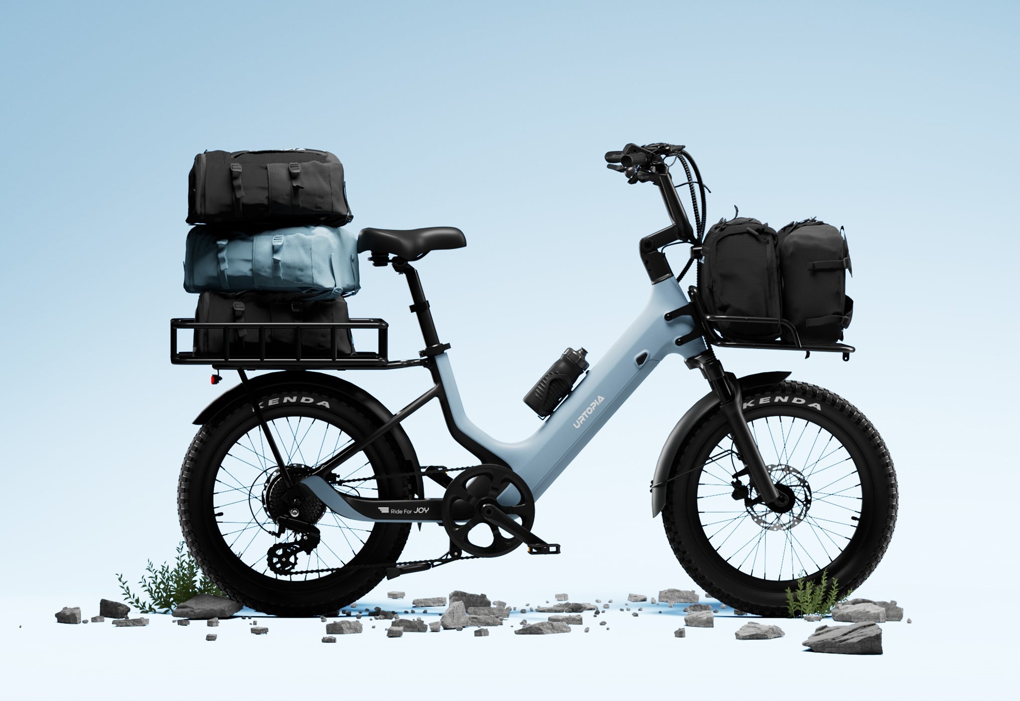 Carbon Joy E-Bike