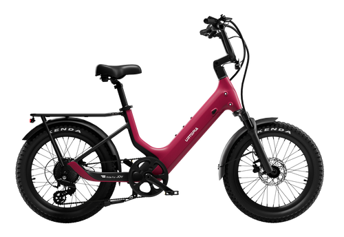 Carbon 1 Pro E-Bike