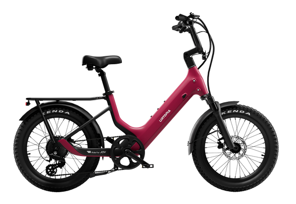 Carbon Joy E-Bike