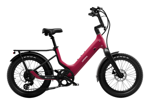 Carbon Joy Ultra E-Bike