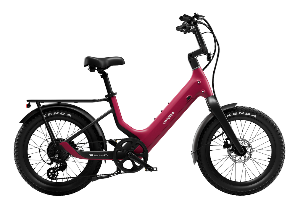 electric cruiser bicycles Micargi Cyclone Fat Tire Beach Bike E-bikes for All Electric Bikes For All no matter the terrain REVI Prowler Fat Tire Electric