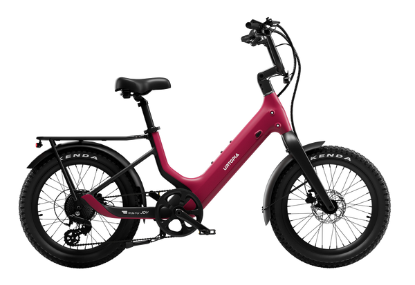 Carbon Joy Ultra E-Bike